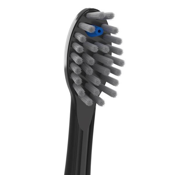Close Up SFFB-2EB Full-Size Sonic-Fusion™ Brush Heads - Black
