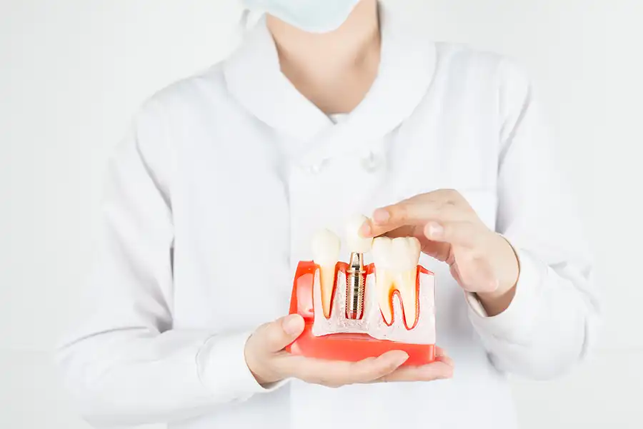 Dental professional showing implant
