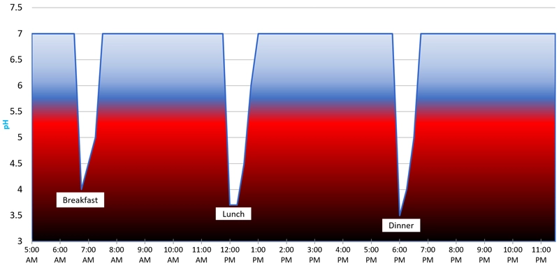 Line graph of mouth pH after three meals: breakfast, lunch, and dinner. Brief dips below the critical pH 5.5 line and quick recovery each time.